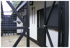 Cattery Cat Entrance