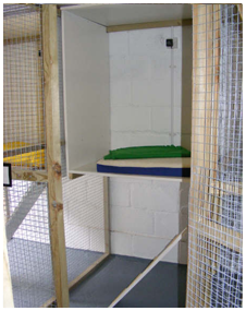 Cattery Cat Pen Internior