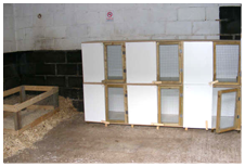 Cattery Rabbit Hutch Enclosure
